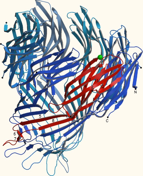 Structure of MspA